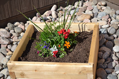 raised garden bed 2x2 with flowers