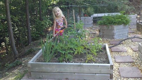 raised garden bed and bench