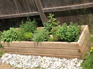 Customer's herb garden