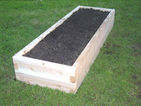 raised garden bed full